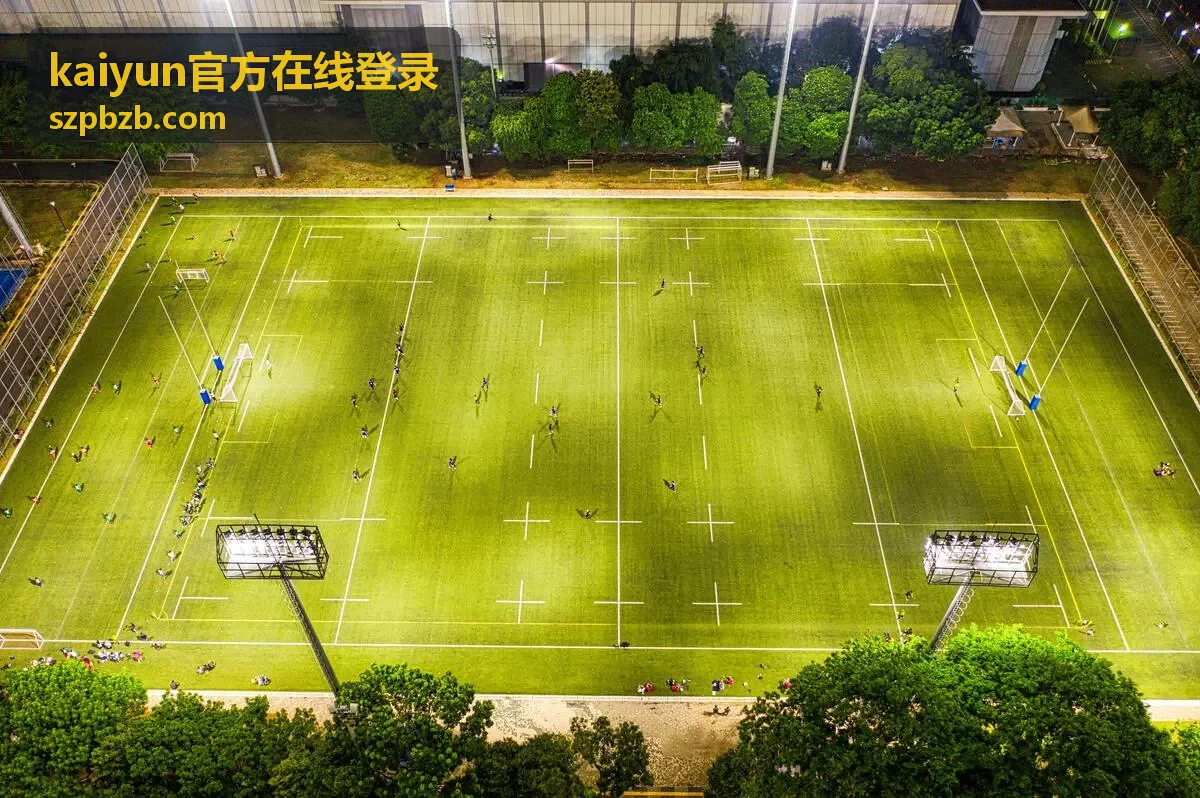 kaiyun官方在线登录 账号登录与安全校验说明配图