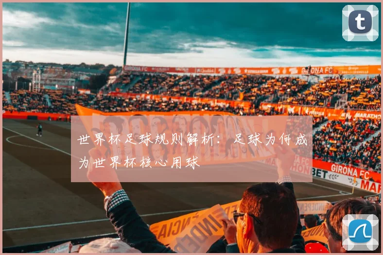 世界杯足球规则解析：足球为何成为世界杯核心用球