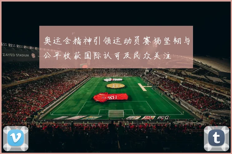 奥运会精神引领运动员赛场坚韧与公平收获国际认可及民众关注