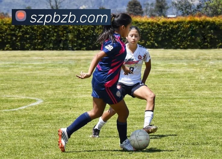 欧洲杯小组赛积分规则解读：得分、净胜球、公平竞赛与出线排序影响